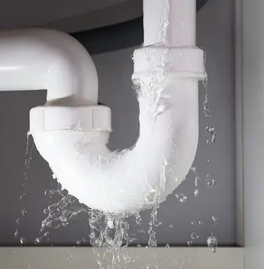 copy of copy of untitled design (4)