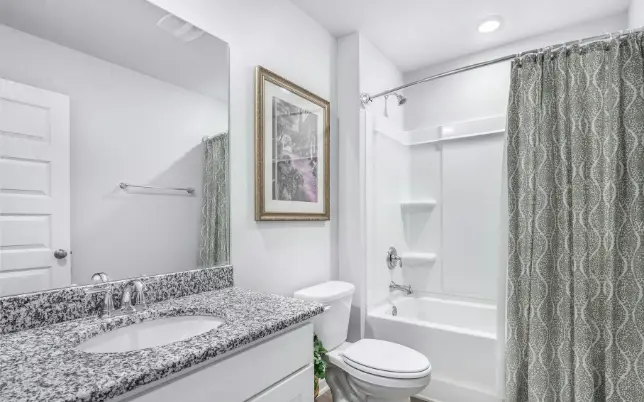 copy of untitled design (12)